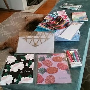 Erin Condren Lot / Planner Covers